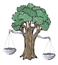 Forestry Law